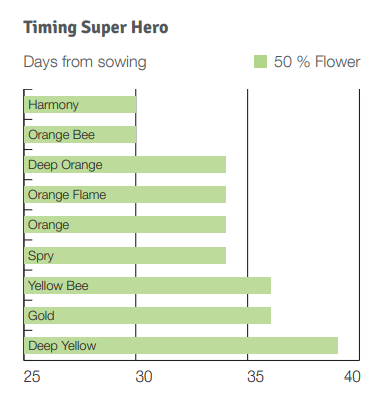 Chart of Super Hero Marigold Flower times.