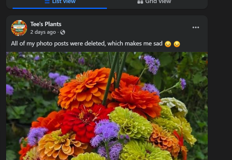 New Facebook Account: teezplantz